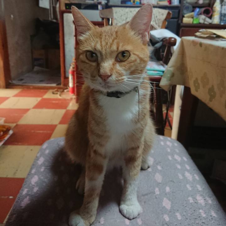 2d443b8b f5d0 4bf9 9fae 5020c712969e 1595195113050