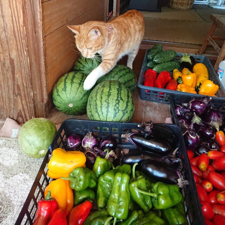 2d4460c0 4d89 4f44 bd0a 8f8091ad6c3f 1567924067942