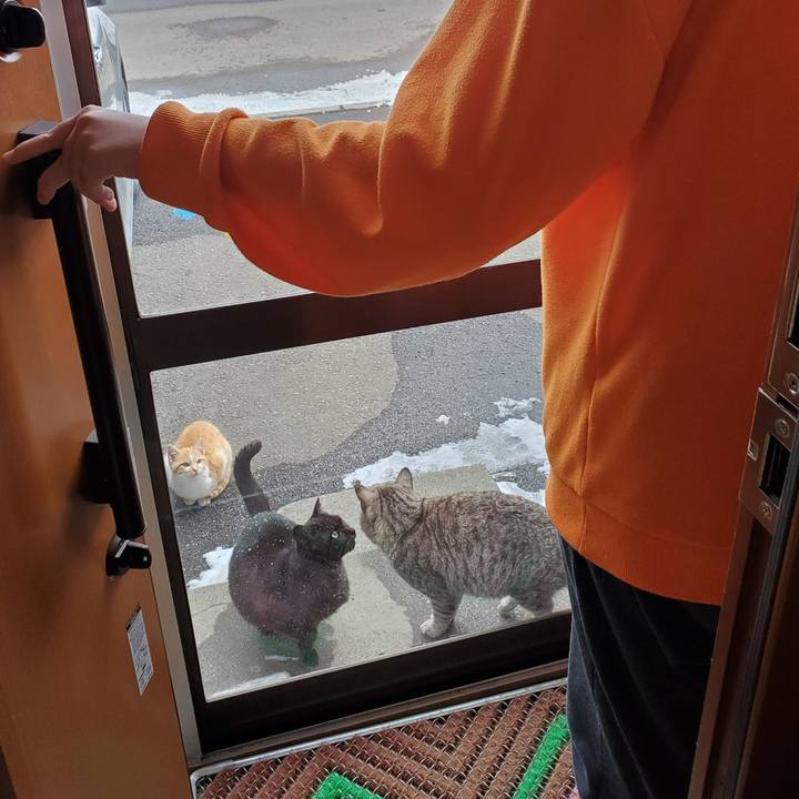 2d44a5de 22f5 4181 8a14 1b3046111c22 1711035706660