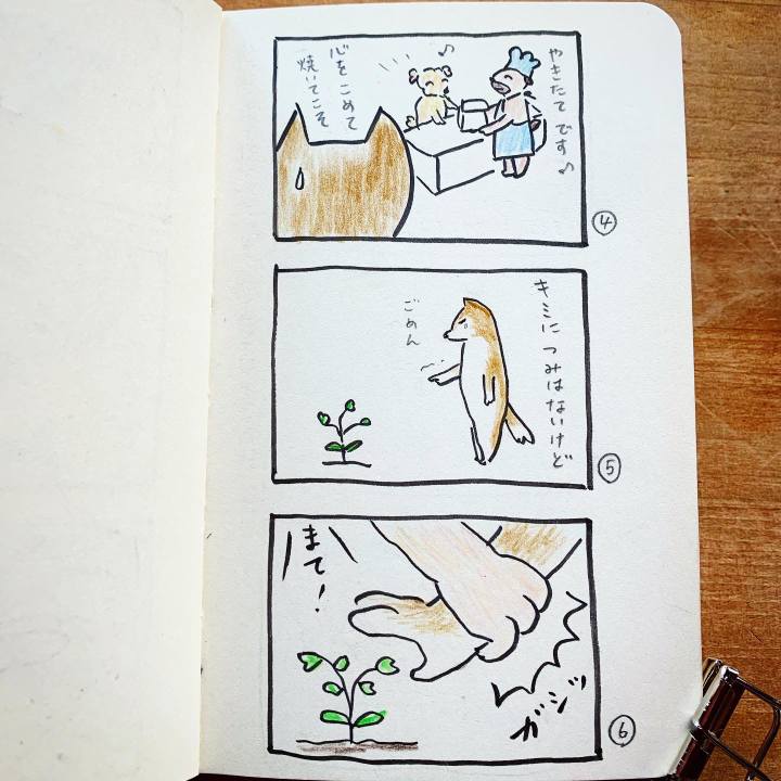 2d44caff eef4 4877 8ccb 431538d2b0c8 1684569785893