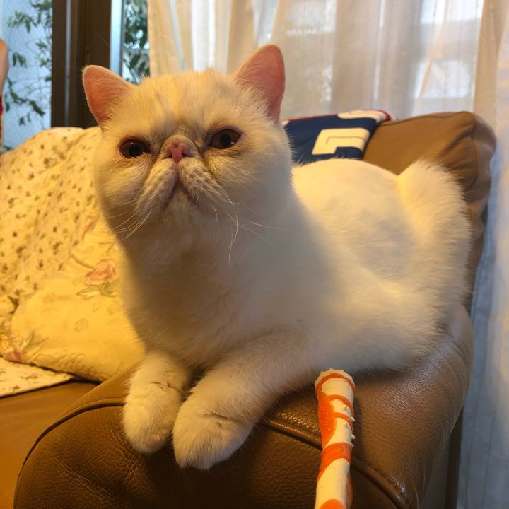 2d44dcb4 f7a8 40e6 86f3 5958ba17147f 1595493717185