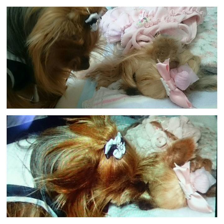 2d455fc2 a1d9 4baf b78a 29ea30b773f2 1534110418424