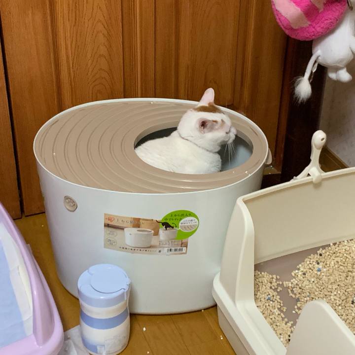 2d4578a6 7d45 47c1 be61 21a3be67d4a3 1568820448350