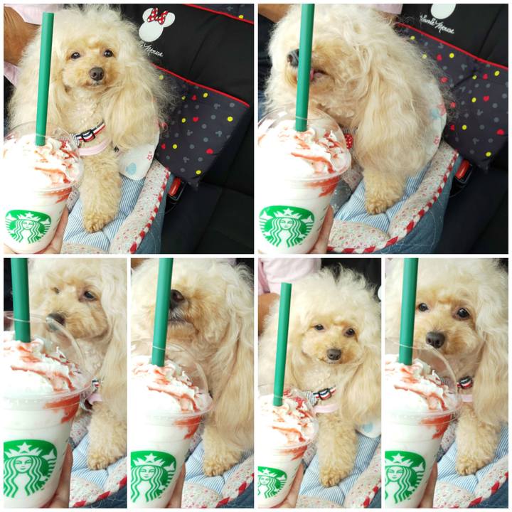 2d459fdf 2a25 430b 9a3c 07b31d41f879 1597729775250