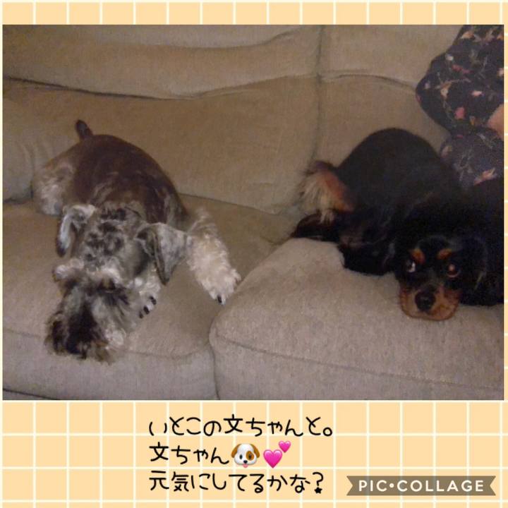 2d45de47 8efb 4684 a3f1 ba4c4b12968c 1543662715613