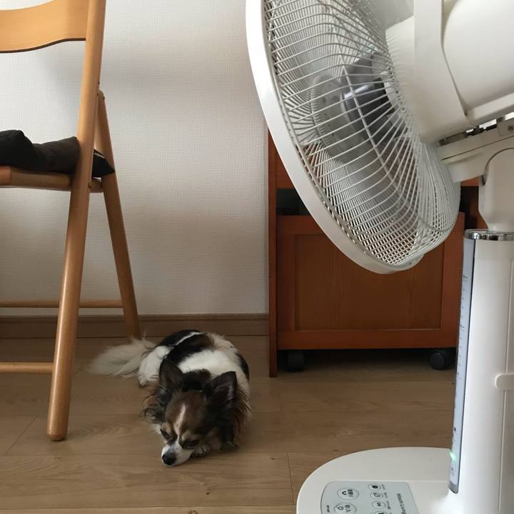 2d45eb06 76f5 4597 89e9 2ab76e09981e 1564782757979