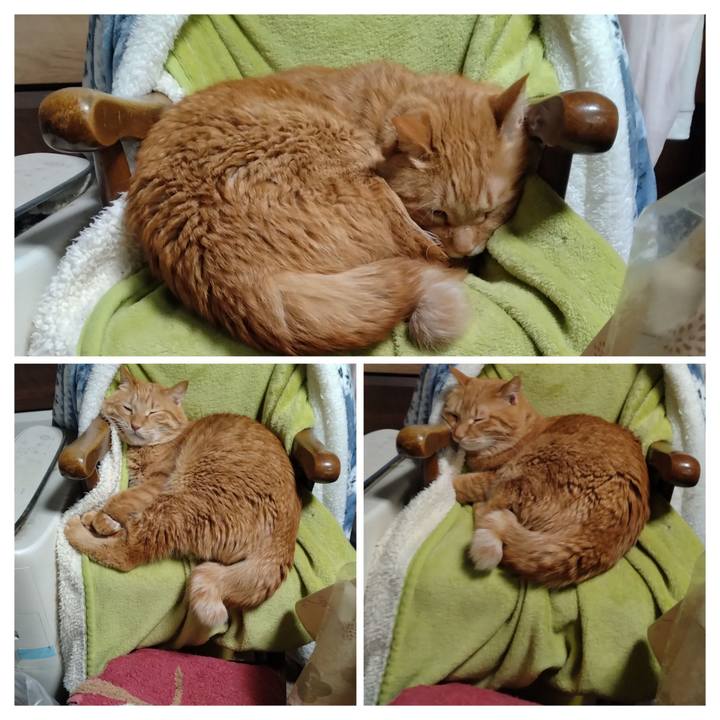 2d45edf9 d99e 46fd 9a34 3eb02330d020 1769601207650