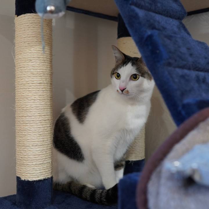 2d462910 52e5 40f9 a882 29ef8cb1742c 1583448323780