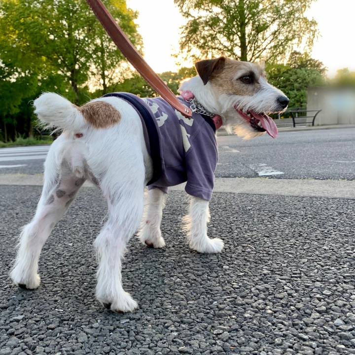 2d4645f1 9bb6 4128 8564 34510e287e0f 1619470939657