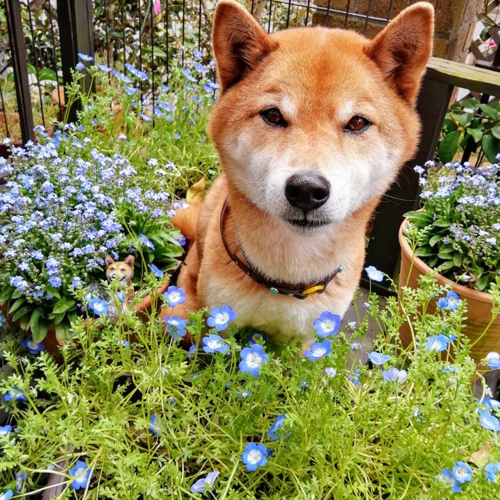 2d46782c 220b 4b0d ad06 dc120183b74b 1587086204056