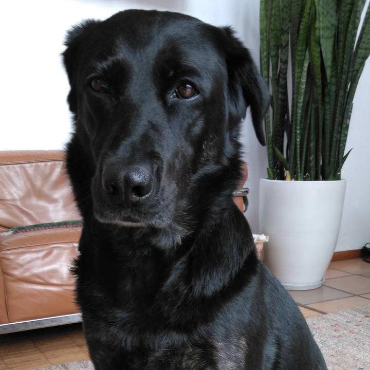 2d469cef f27b 4f39 8194 29051107513c 1585268984354