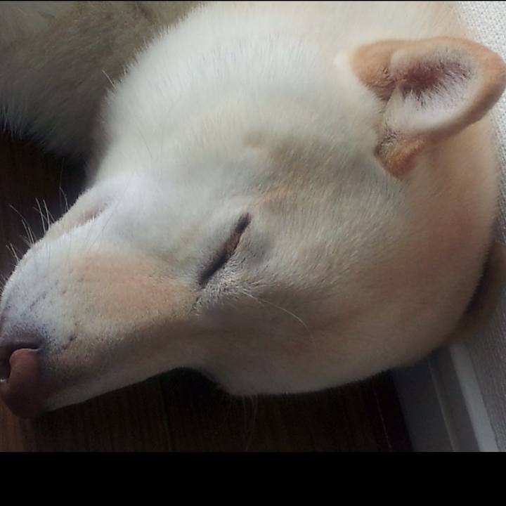 2d4705ec 07e0 4d0c 9c40 e6be2669c700 1636843671081