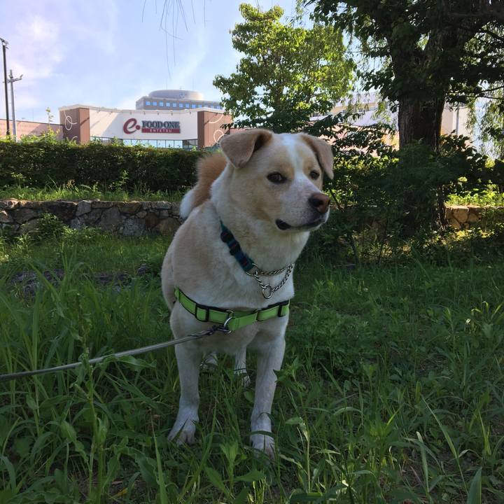 2d477069 6063 4855 bdd2 73547bcfd137 1528168234594