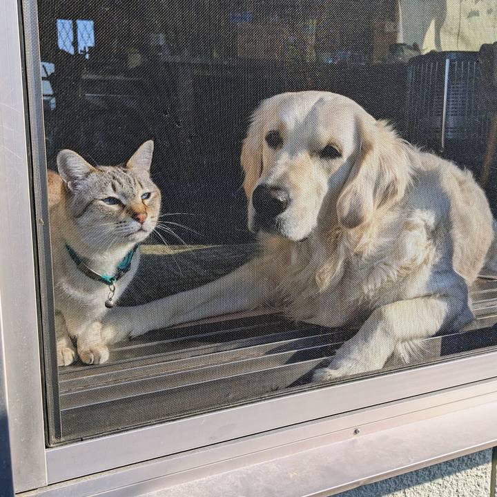 2d47d2de 62c8 4093 9ecf 50d7bf6bcfa5 1771717206224