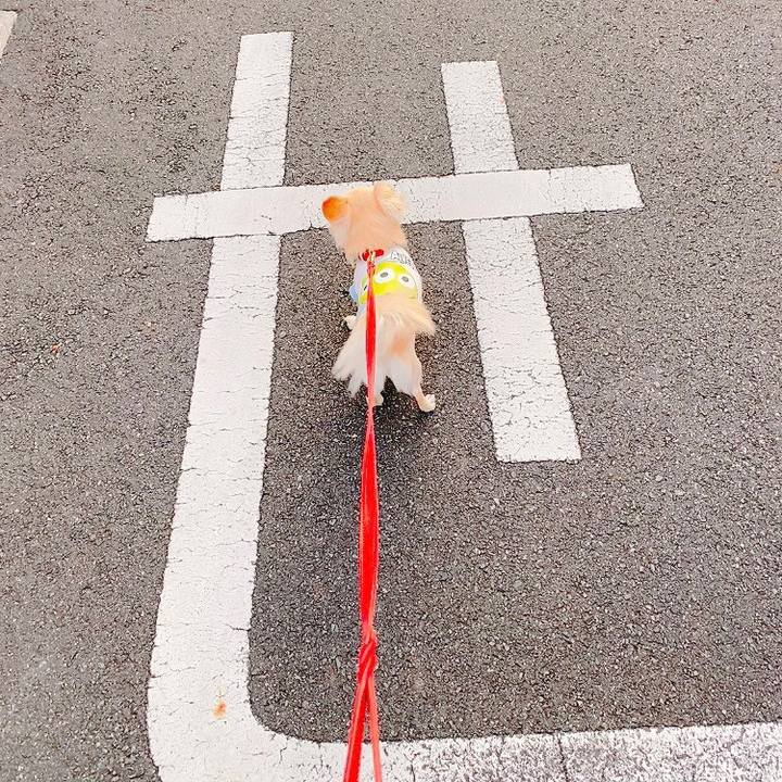 2d47e1c5 e406 4496 a4db c5c0966eb2fc 1633436073727