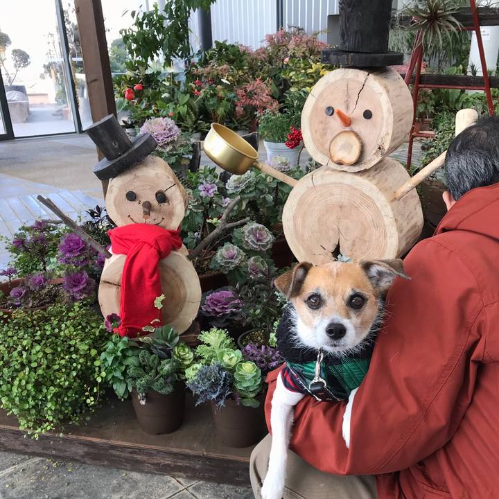 2d484a16 0fbf 445c b725 6a509f55abdb 1547373966036