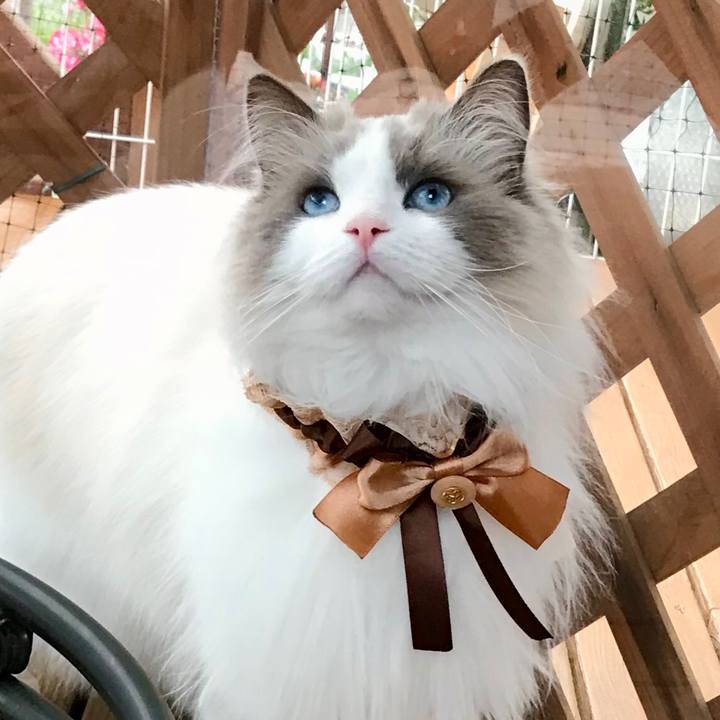 2d48a9b9 ed01 492f 9be8 25653b028643 1597129658940