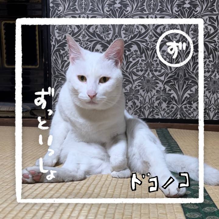 2d48b416 334c 4f5d 8a99 008cdb7a54c3 1685954364363