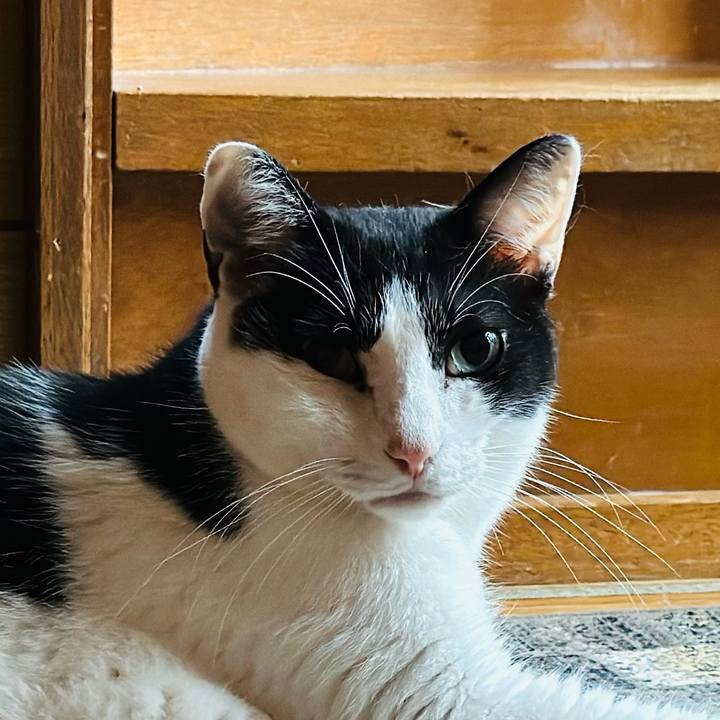 2d48ba12 039b 4c4e 9d2d 50aa20cb8300 1696641967649