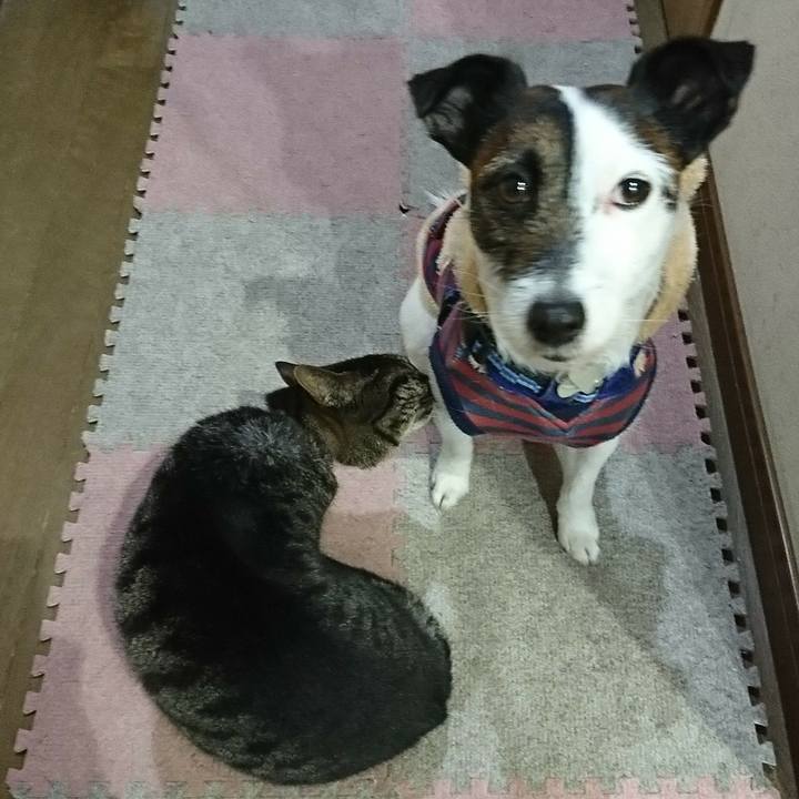 2d48bb82 f552 4501 a9b9 3872083c8ec1 1519821165468