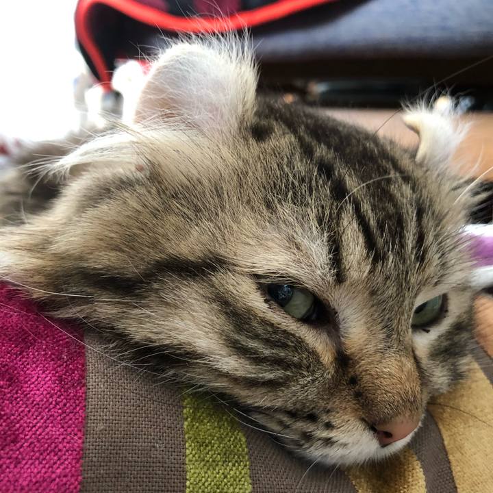 2d49304d a1cc 4765 8a7d 96aa11c60f64 1542262657646