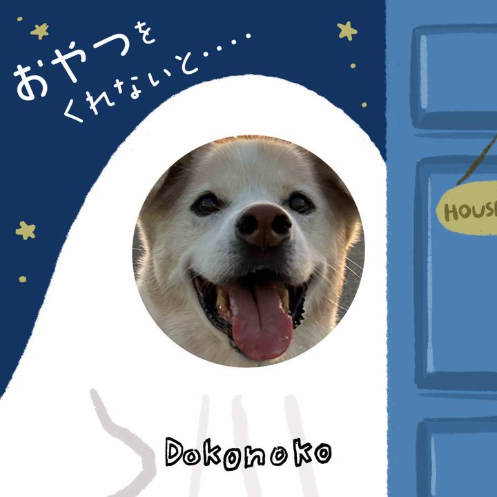 2d49536b bcb0 4fa9 ae6e 58b730b19184 1729435829686