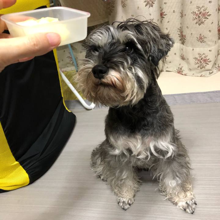 2d4959d1 40b9 4ffb 83c9 2cab69d8e031 1576672906144