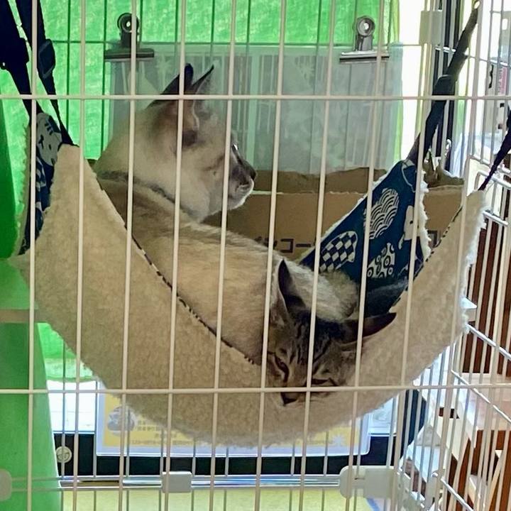 2d49665f c7ba 4cd8 a644 678d71eb8995 1723002422715