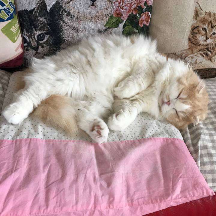 2d497ed6 e19e 4f62 9cab 5304985c7643 1523276506916