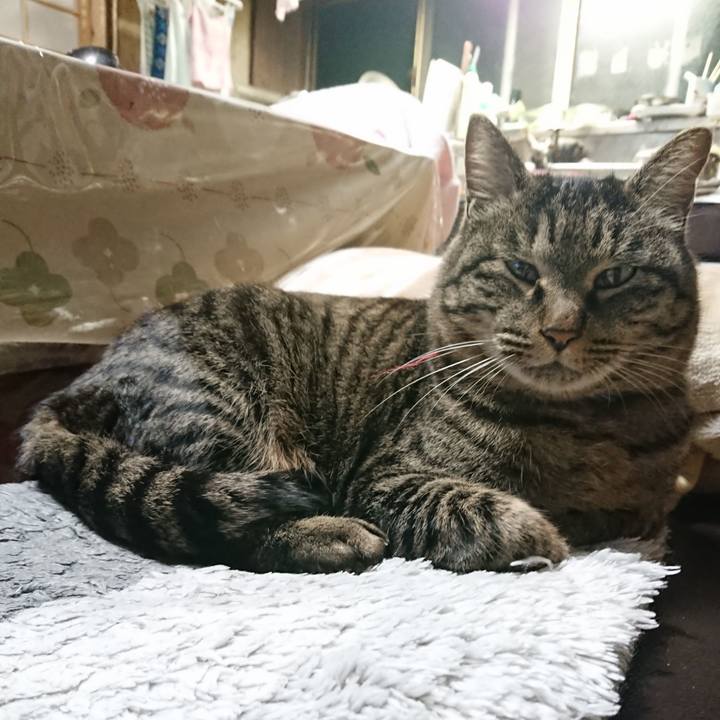 2d499378 a78d 4c26 9883 ba9756034e22 1641808260556