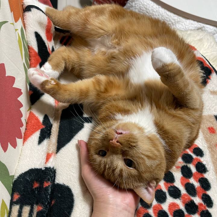 2d49c7a2 9171 474b 9098 5604f99b6fd5 1651324325510