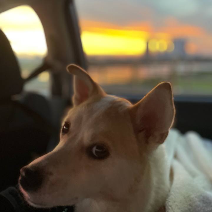 2d49ea54 d654 4b68 9b02 97d36f64aaf5 1626830951866