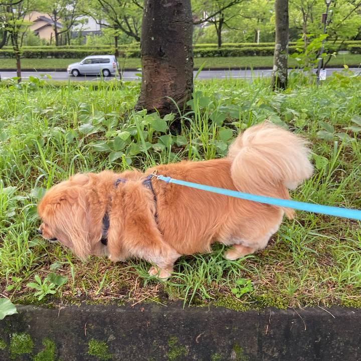 2d4a1621 6733 4545 a2ad c09b2b7a253f 1592168649341