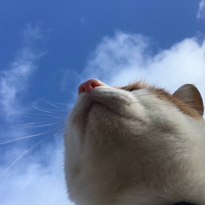 2d4a19a3 073f 4e60 8f75 dd67a2d2faf1 1514855306803