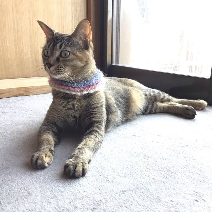 2d4a3da7 9ef6 495d 88cd bf9c0f4ee97a 1626656372545