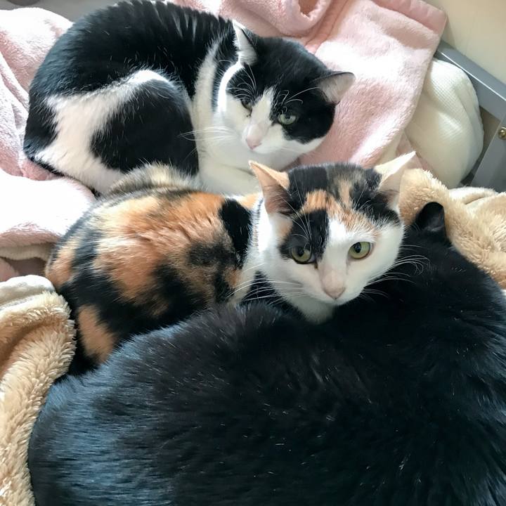 2d4a6004 654f 452e b825 b1098b9d1c4e 1516074330885