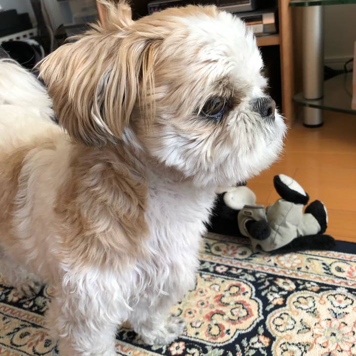 2d4ab016 9830 4d06 85ba a9465825961e 1547502435819