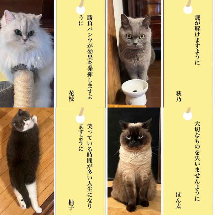 2d4ae033 b5ca 47ef 996b f873f92bb014 1688738414254