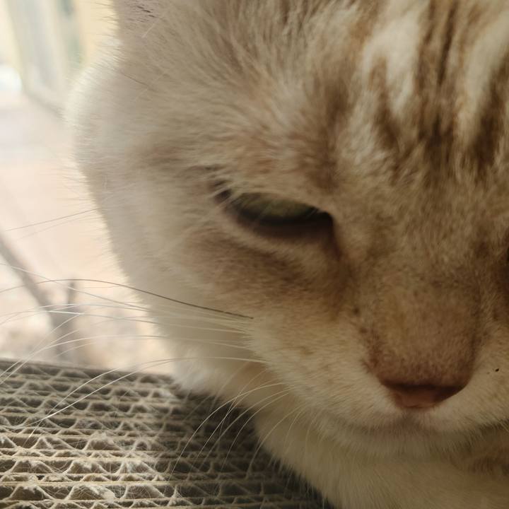 2d4b2483 da60 49fa aef7 a67863664a14 1620786204784