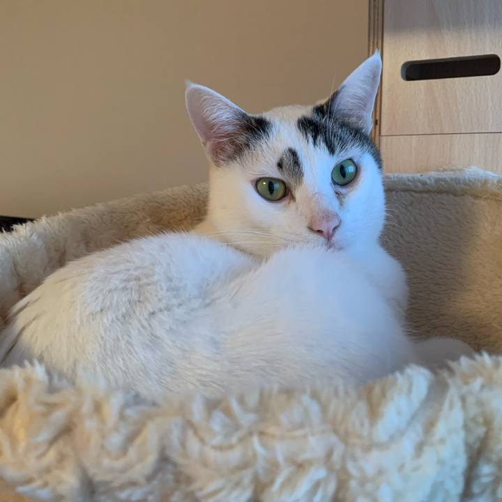 2d4b285f 6506 4665 8853 b9223d4ac42f 1743472881813