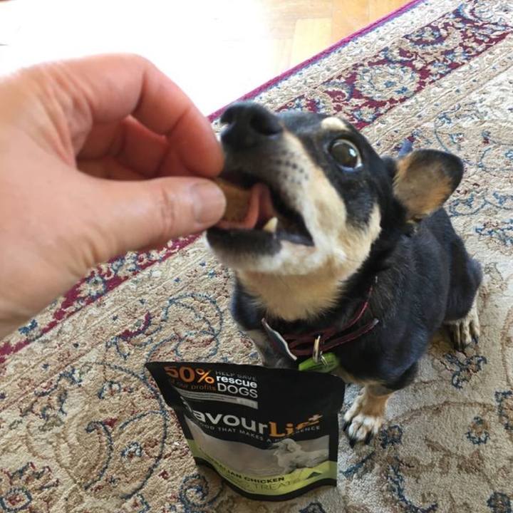 2d4b286e abab 4ed2 9156 c9c3d3757e11 1767267128210