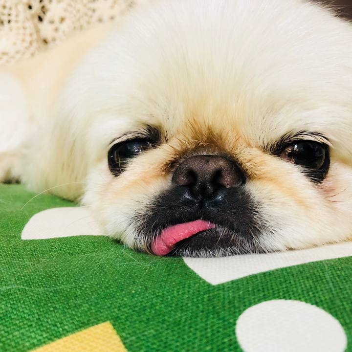 2d4b8932 4652 4a6e 957c 3ab2a21f05b7 1559489638810