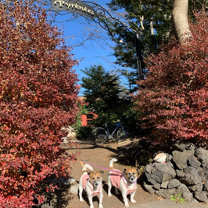 2d4bb19c edf9 4945 bb2f 84c6331c7499 1605329030569