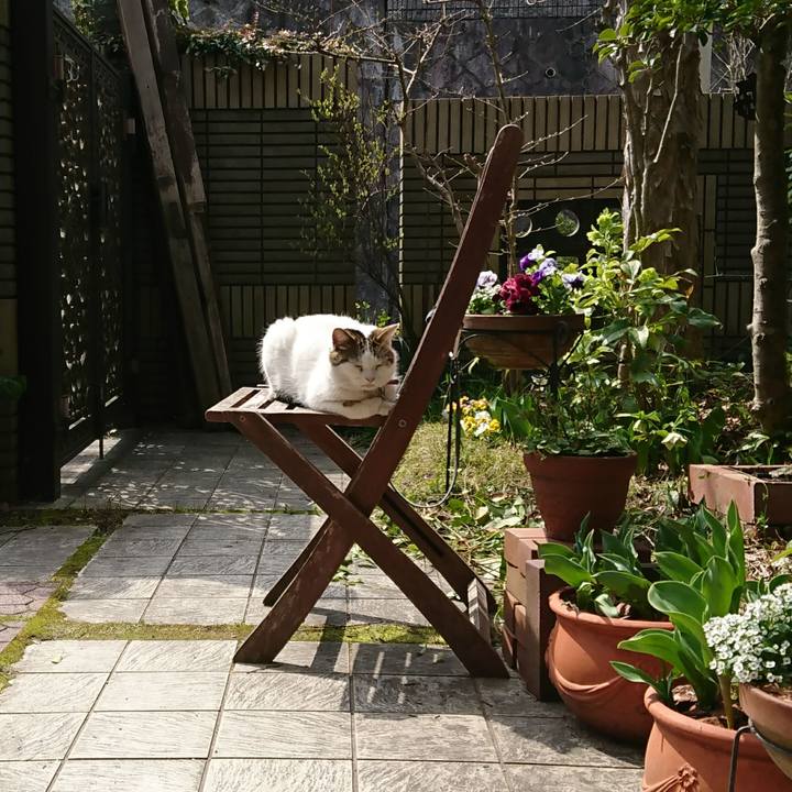 2d4bbc0b a909 4576 8cbb fa72393f6ed7 1521079862161