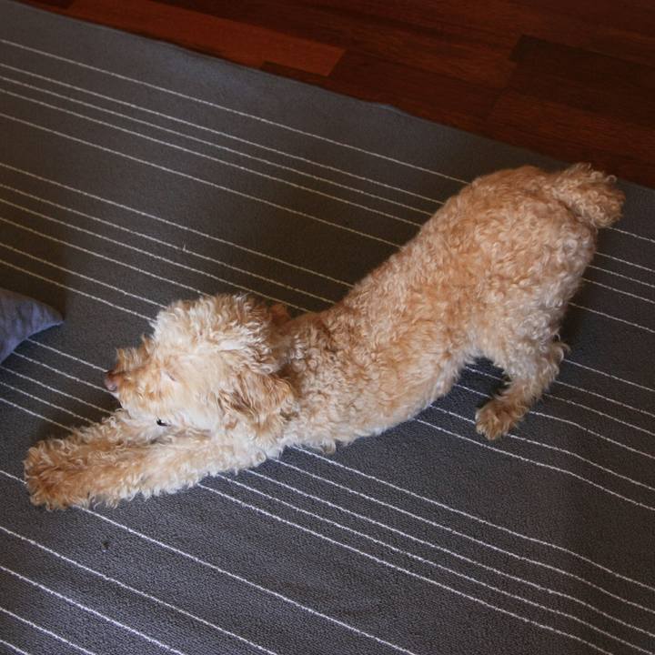 2d4bdf2b 85e7 4d0a 8467 41ab456a91f3 1539267459134