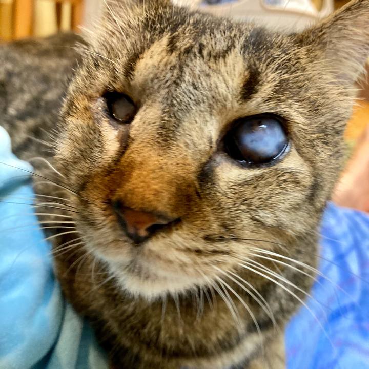 2d4be187 845a 4e51 93db a54d6311cd67 1662635567439