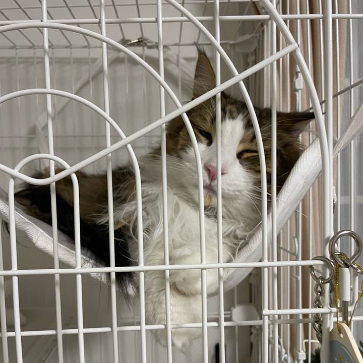 2d4c1007 df70 4b61 b5d4 4fc246f9d1d0 1683632716546