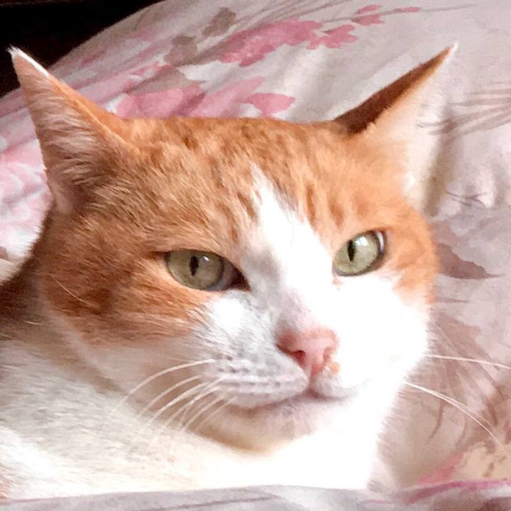 2d4c3034 2c3b 4e1c 95f6 32dd55084d5f 1578664033442