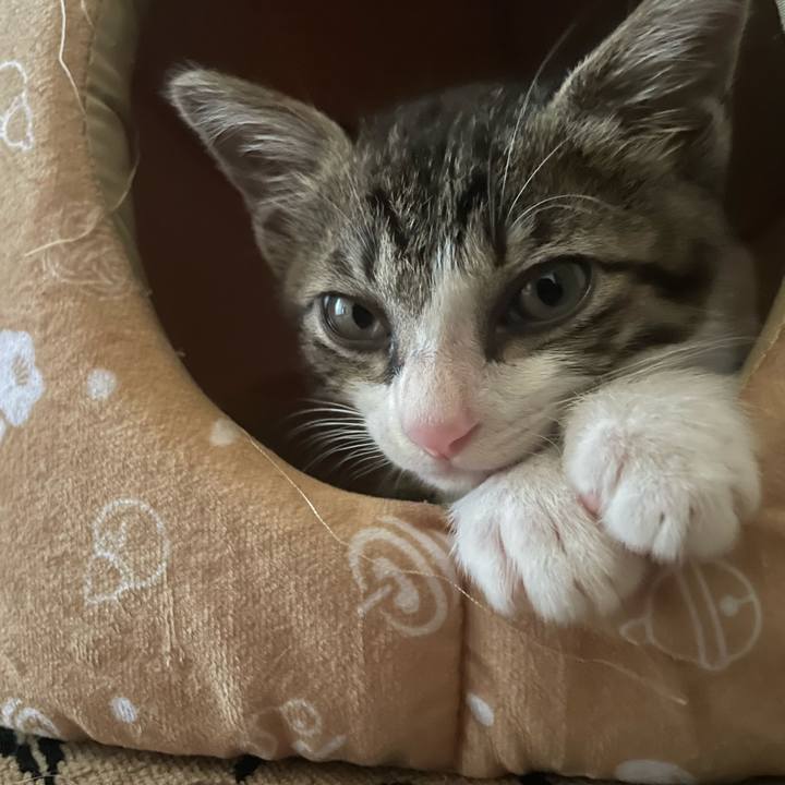 2d4c4f56 ff6c 45ee 87b4 d9abcc75a5f6 1721360359190