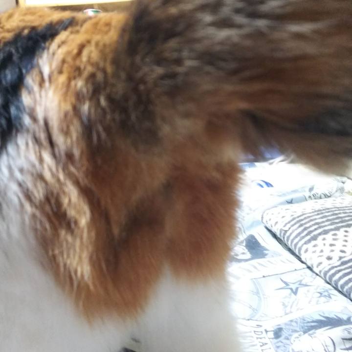 2d4c6487 b879 4a0e bbe2 107ad96ed6ce 1546209060894